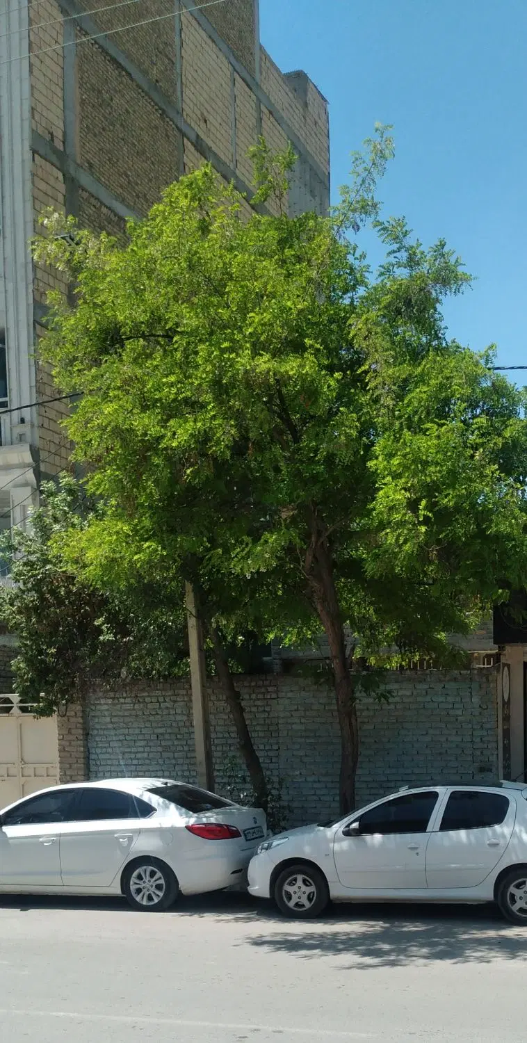 همکف راه جدا در بسیجیان
