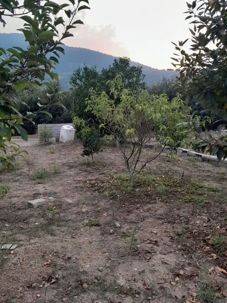 فروش زمین