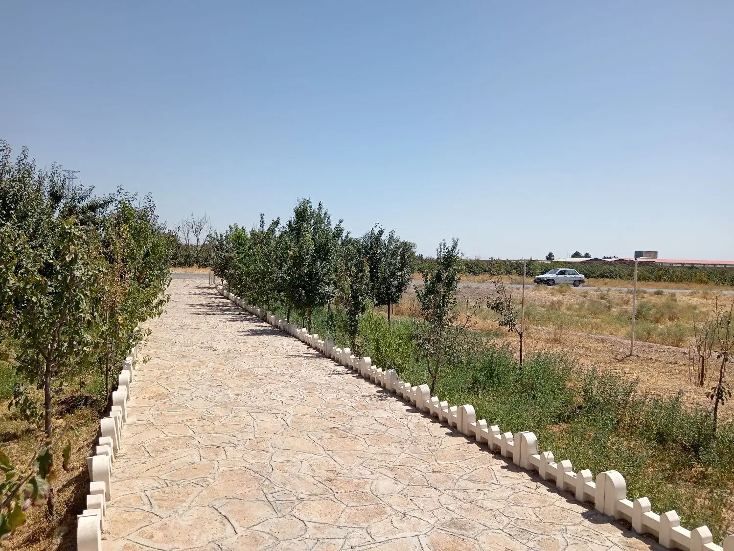 باغ الو