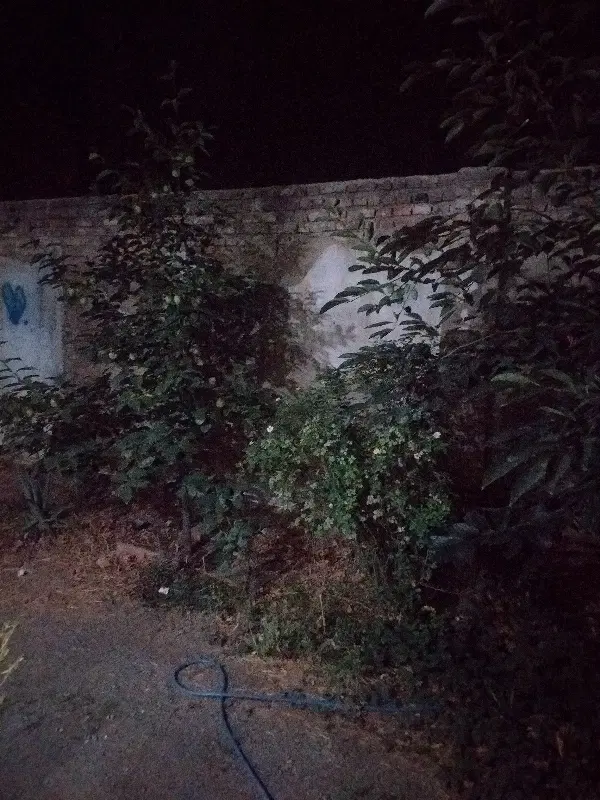 خانه ویلایی بر باقر العلوم
