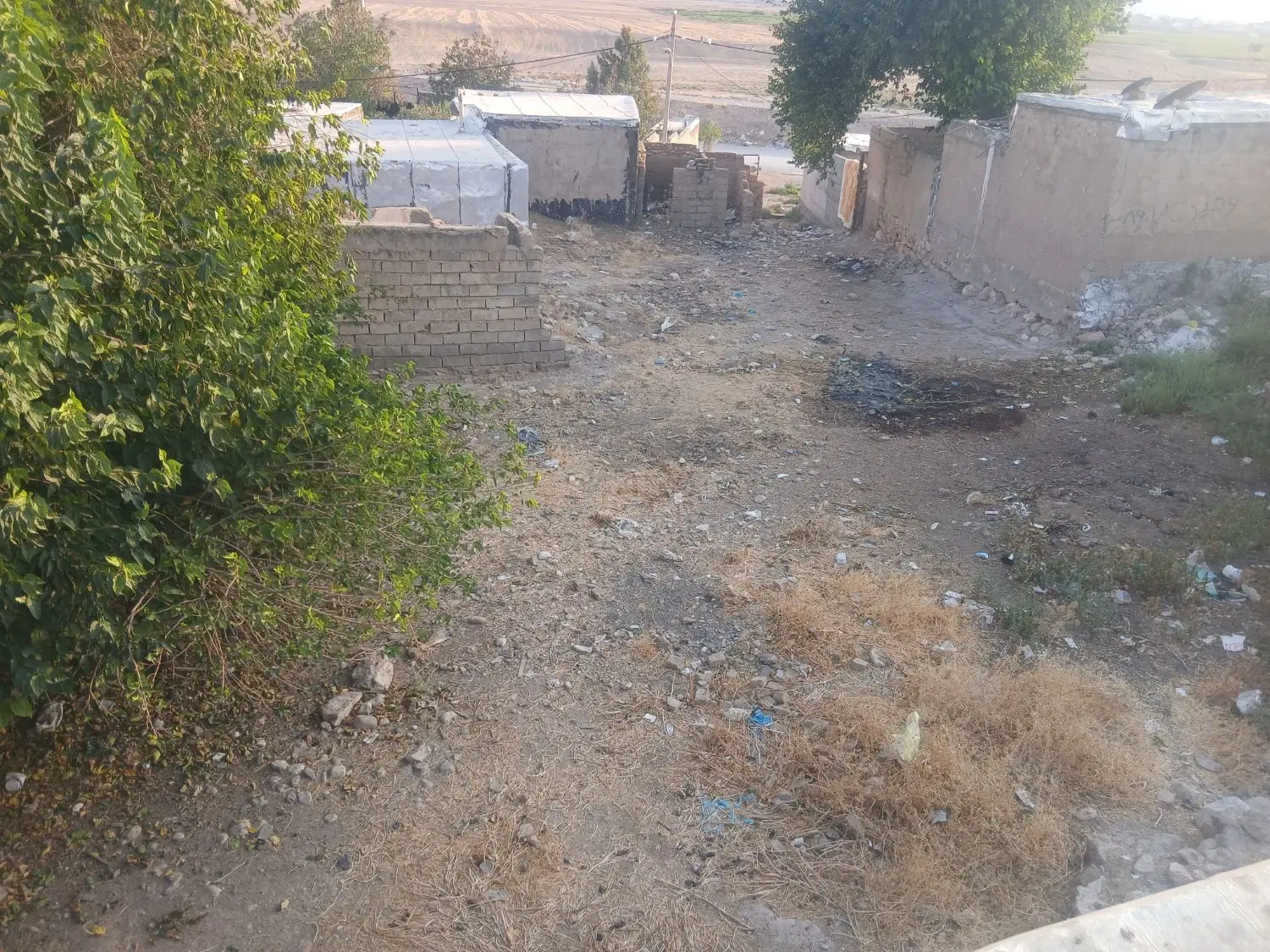 زمین ده محسن