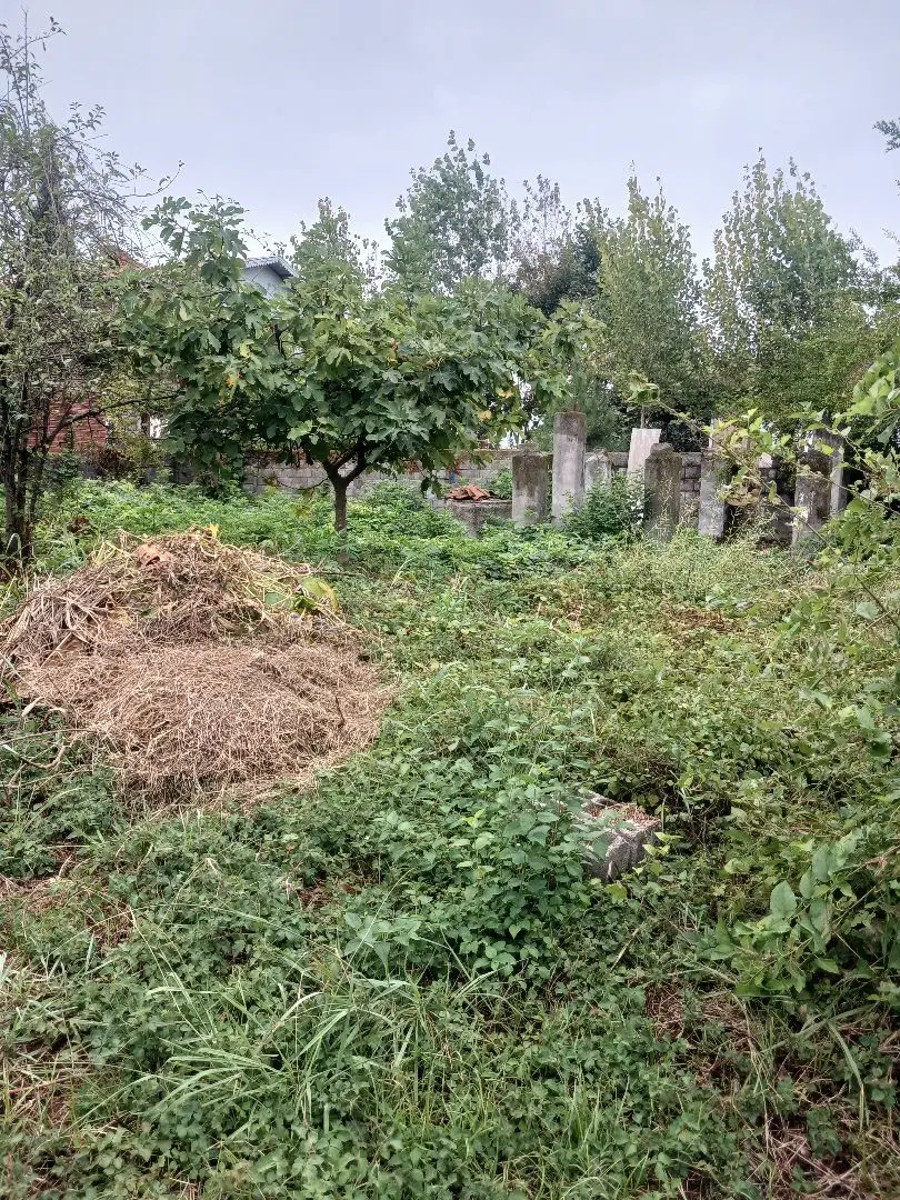 زمین دیوار چینی شده