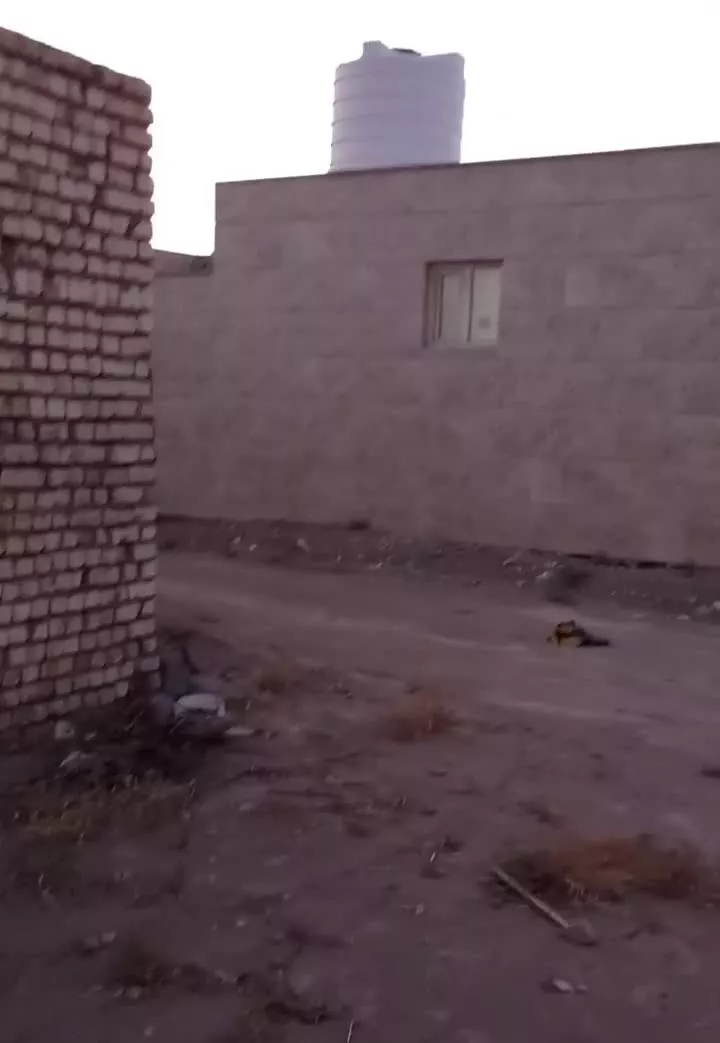 زمین خیابان نطنز انتهای کوچه حسین پور