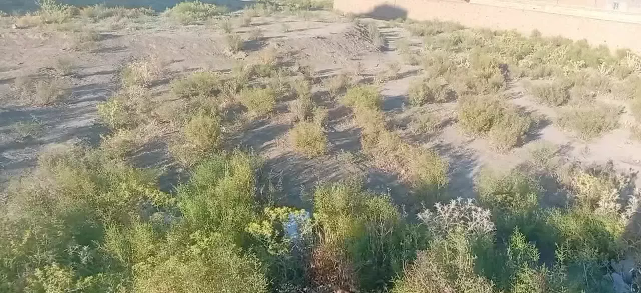 زمین فروشی در نامیله