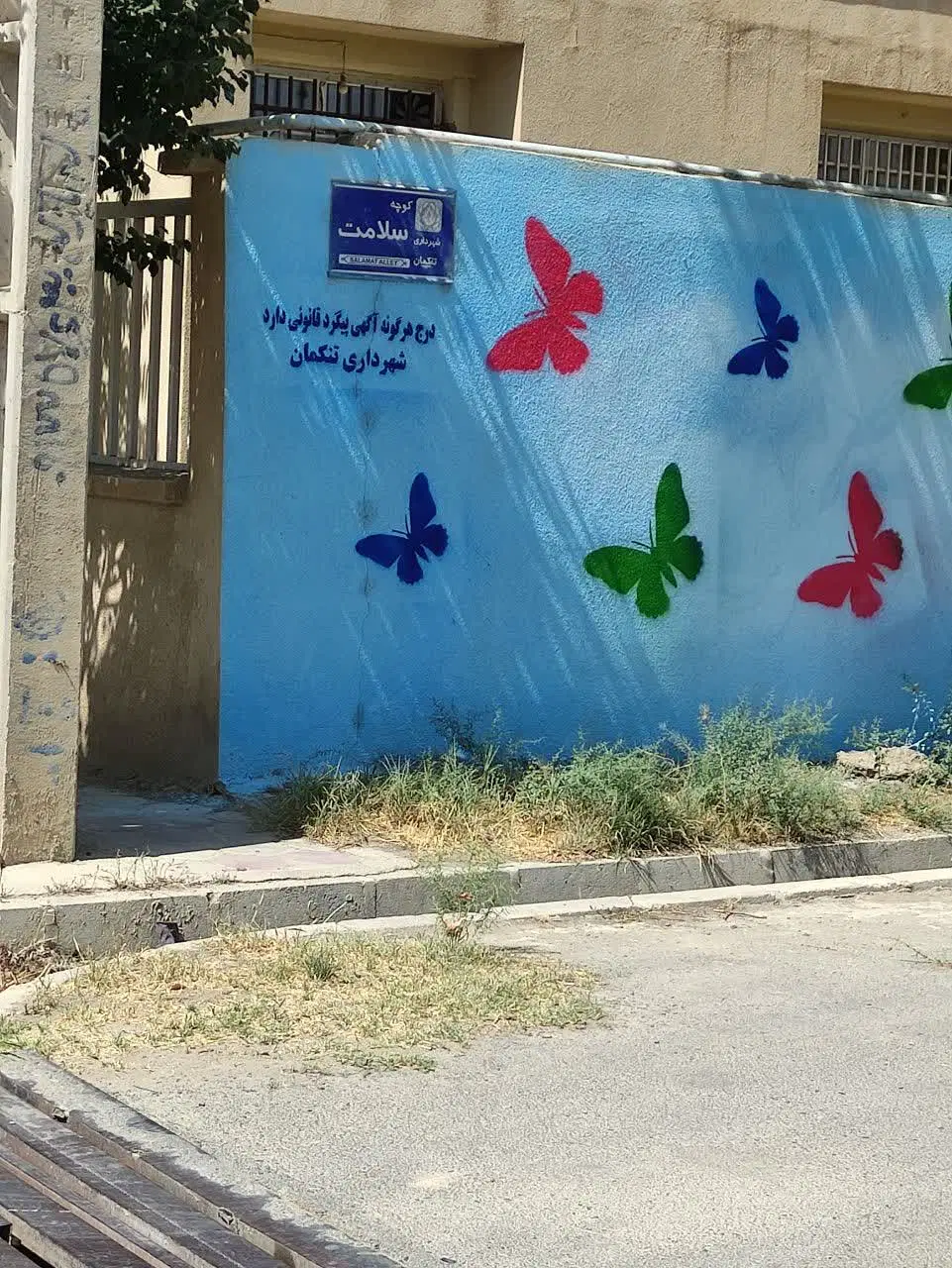 باغچه داخل شهر تنکمان