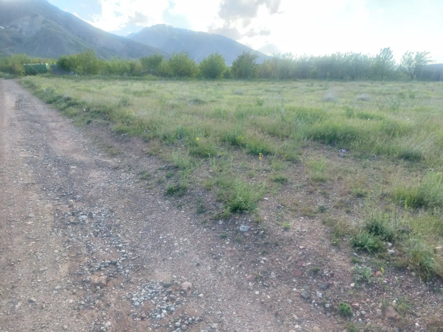 زمین زراعی