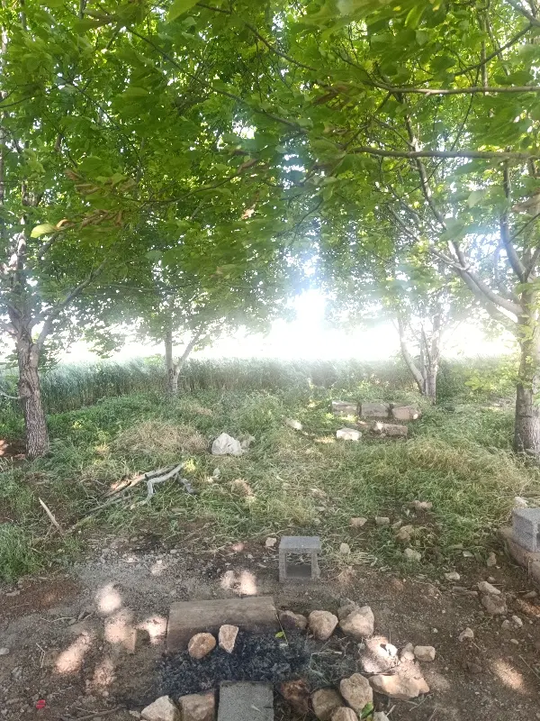 زمین شهرک دانش