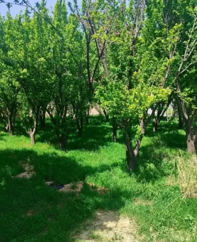۷۰۰ متر تاپ