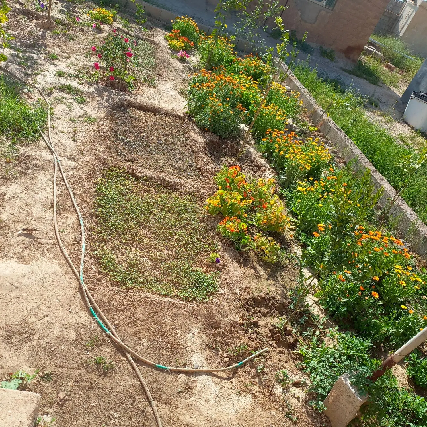 فروش زمین مسکونی
