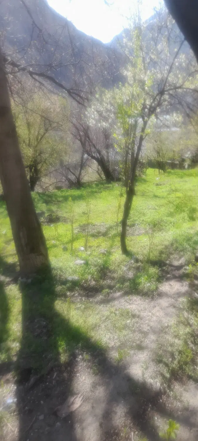 زمین ۳۶۰ متری گزانه(لاریجان)