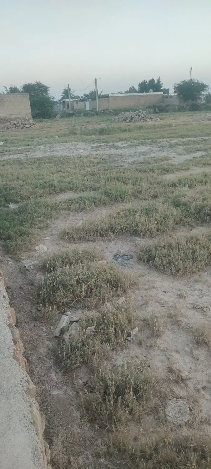 زمین