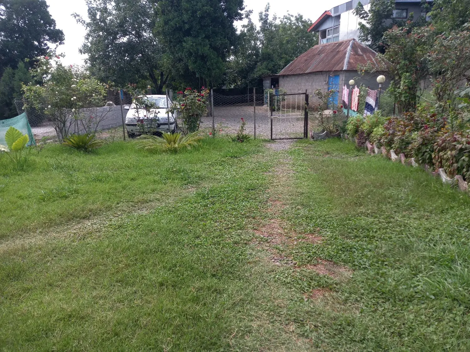 همخانه