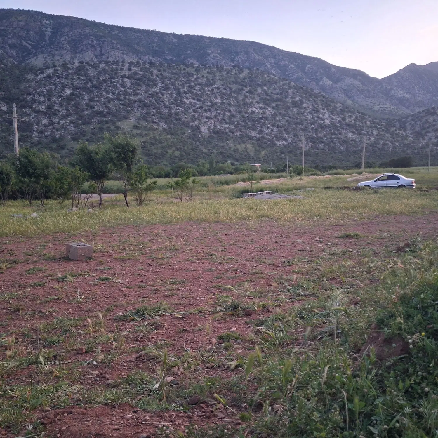 زمین باغ دایی اول