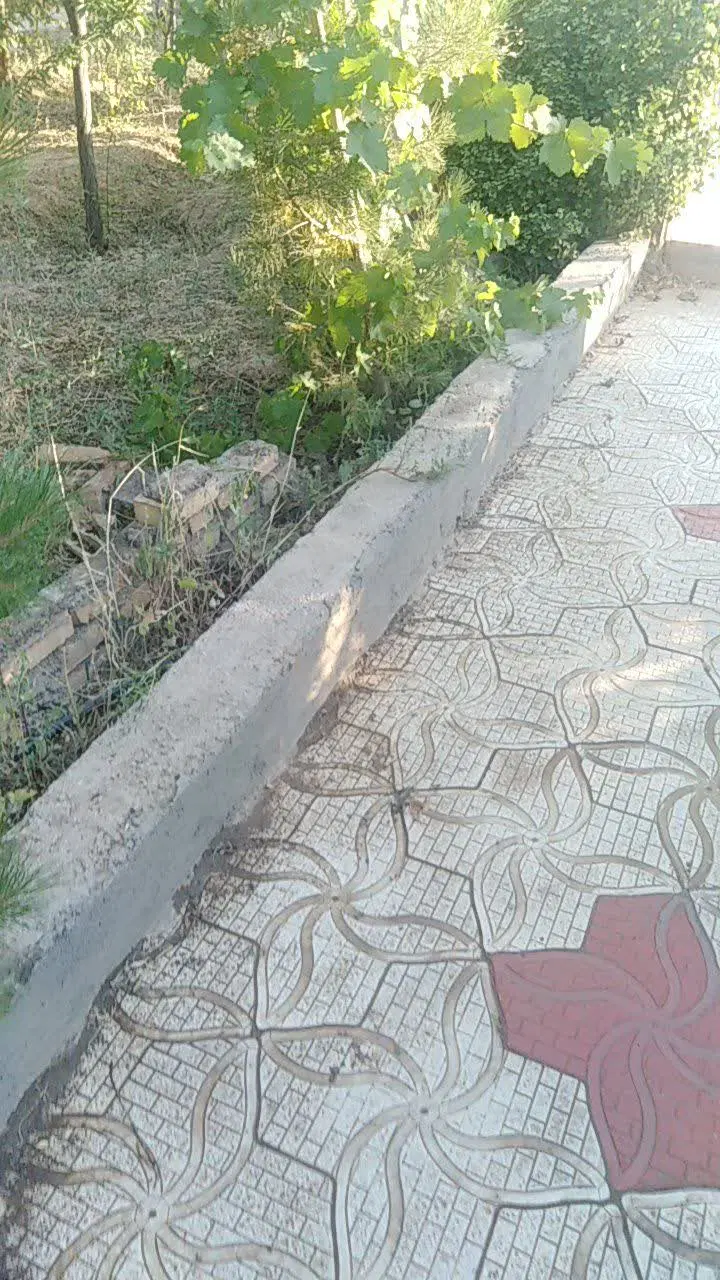 باغ ویلا