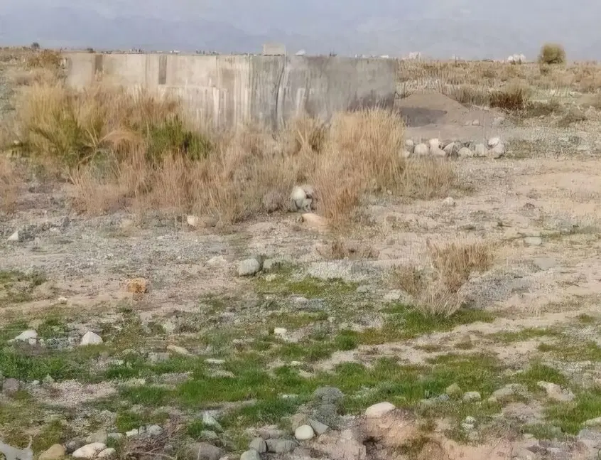 فروش ۴۰ قصب زمین کشاورزی