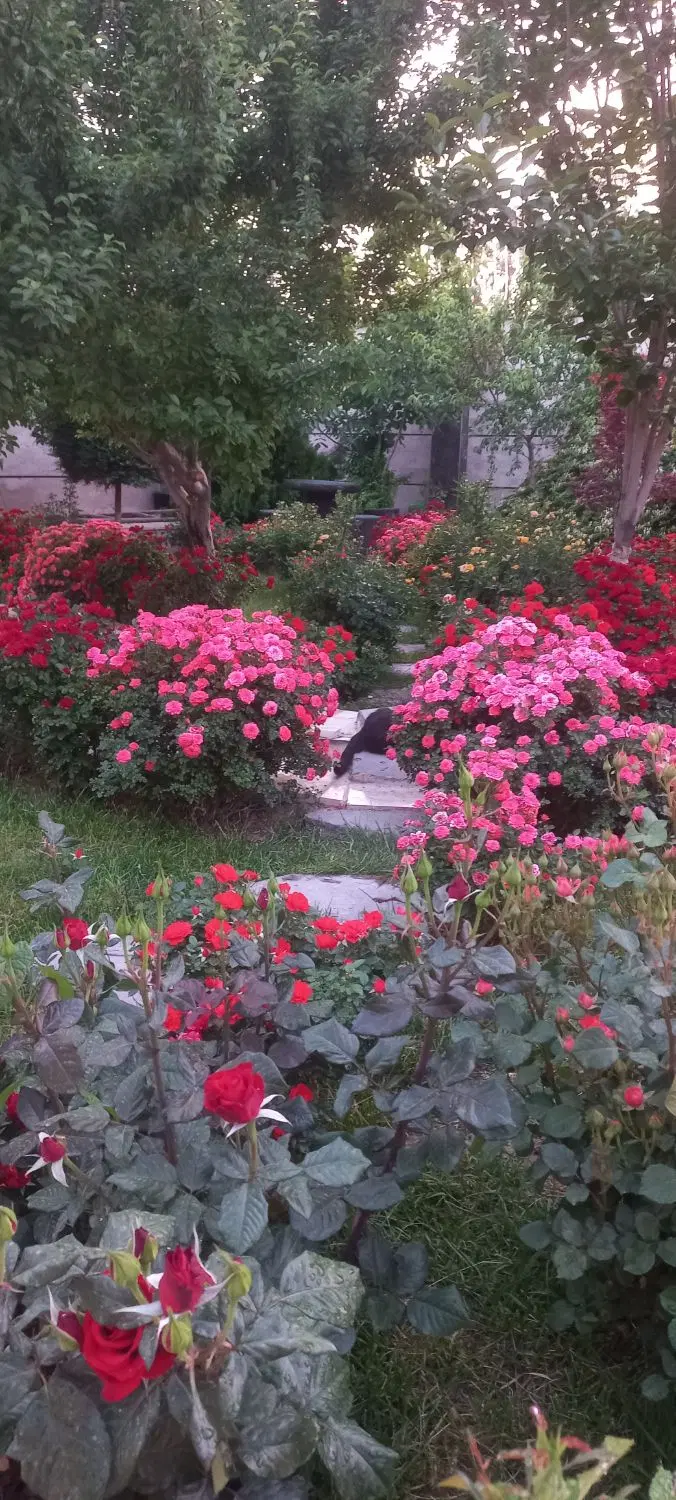 ویلا باغ نقلی