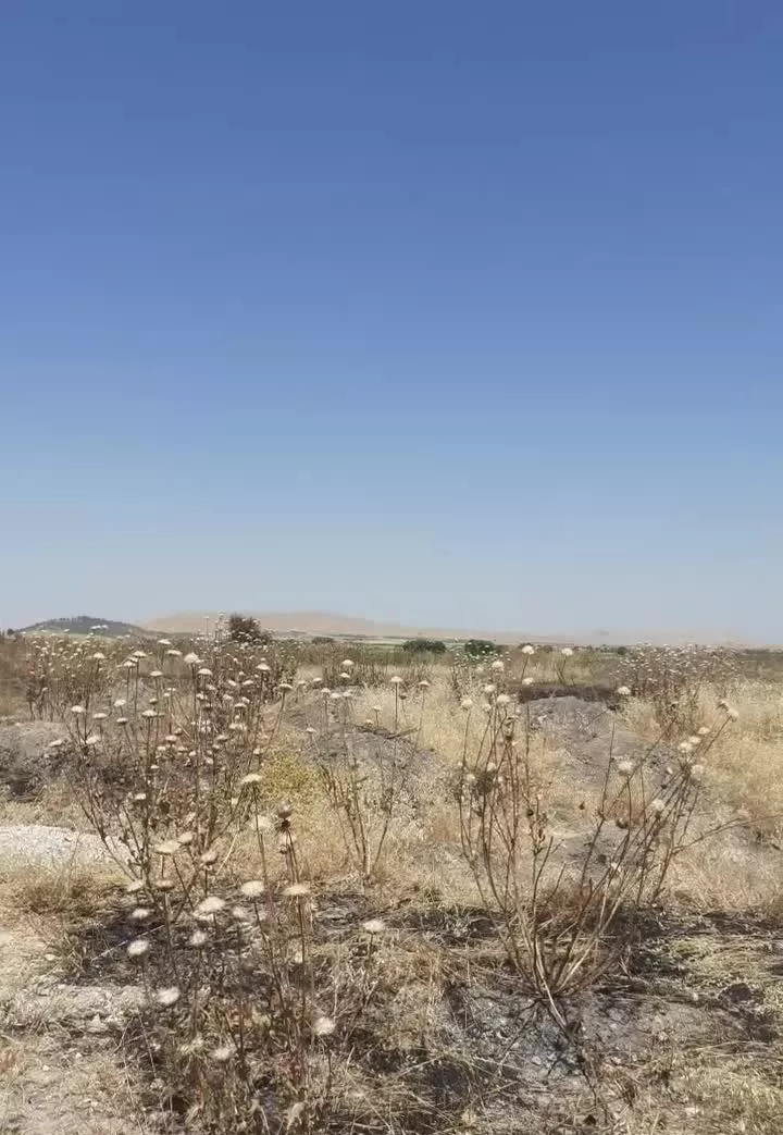 زمین پاونار