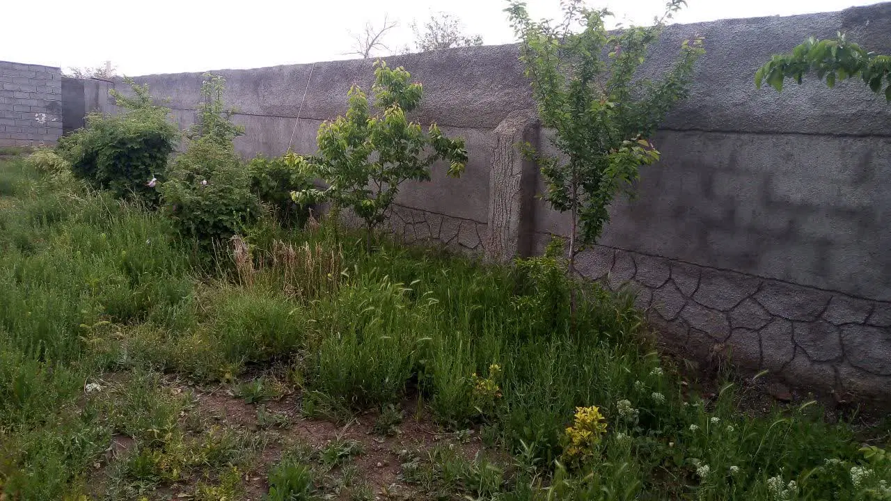 فروش زمین دور دیوار در روستای جهانکوب