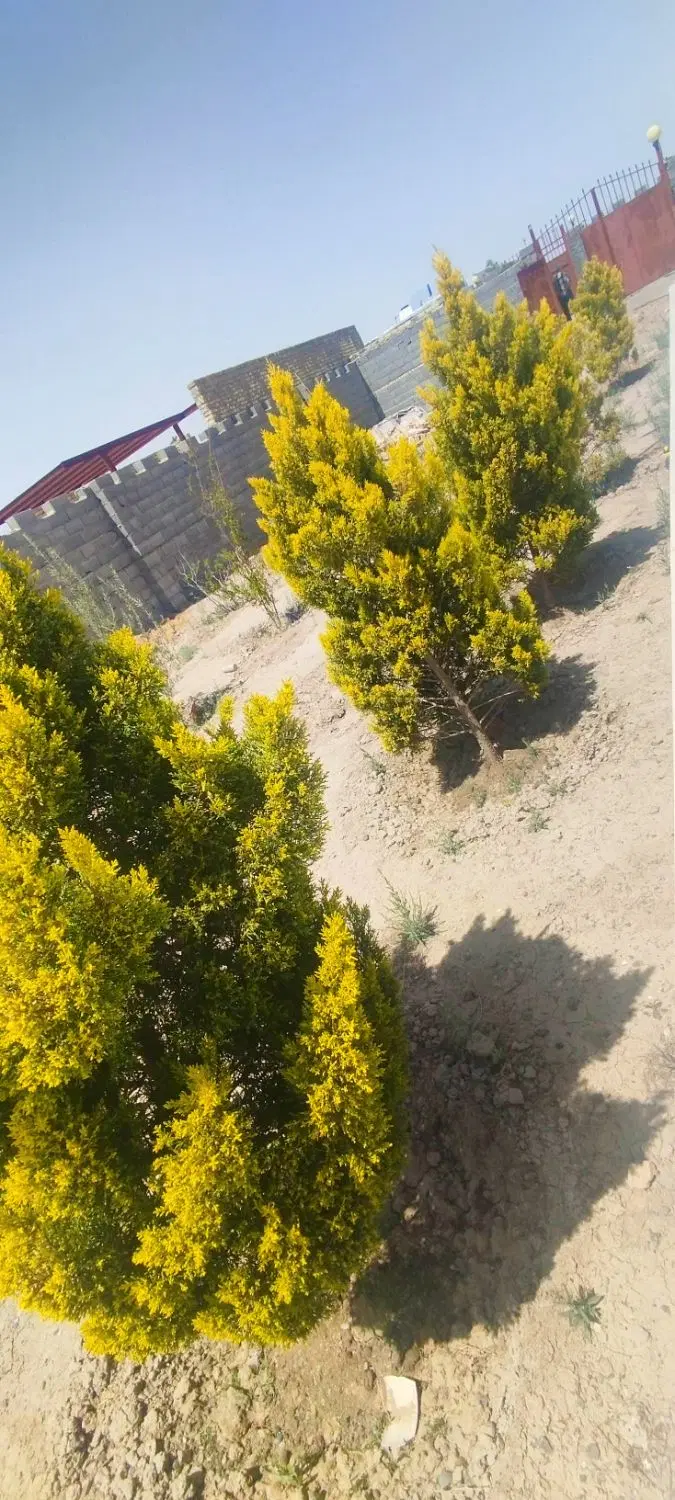 باغ نیمه آماده ۶۰۰ متری با آب و برق