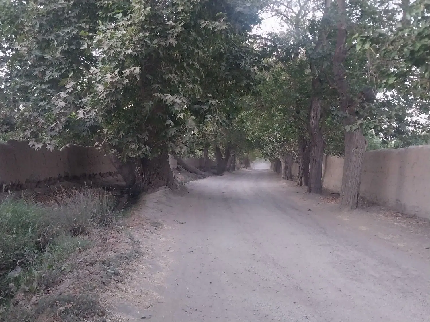 یک قطعه زمین جاده کاهو اول جاده سمت راست
