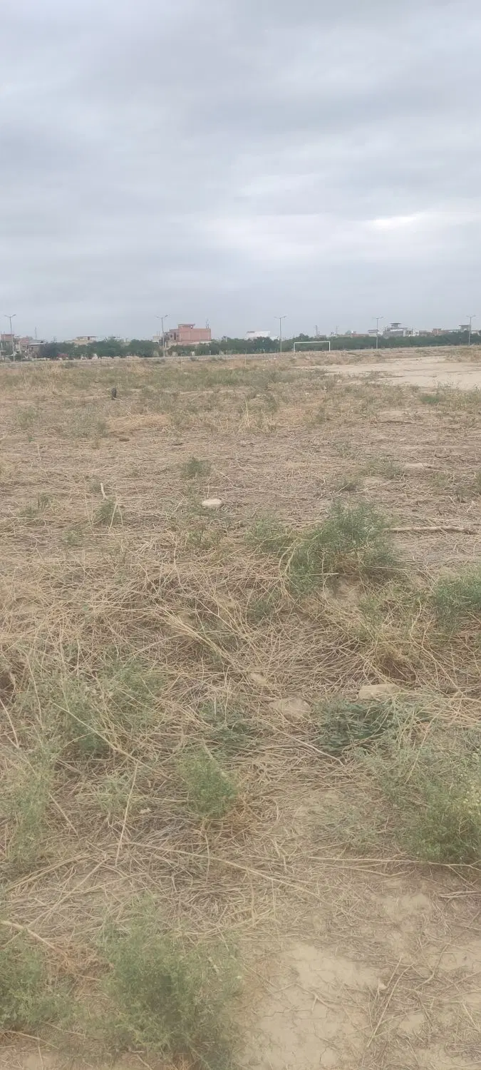 زمین مسکونی قابل ساخت و ساز