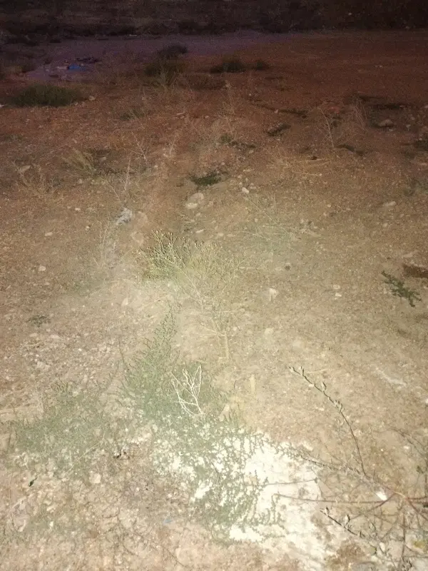 فروش زمین به مساحت 105
