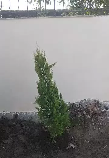 ۲۷۵ متر زمین شهرکی