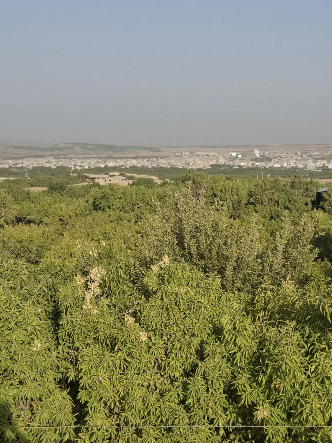 طرح کشاورزی عمان سامانی