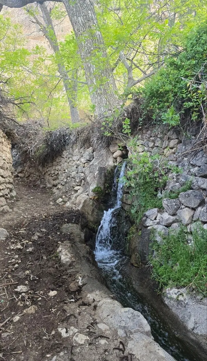 زمین باغ شهری اهل بیت بوستان * مربع اول *