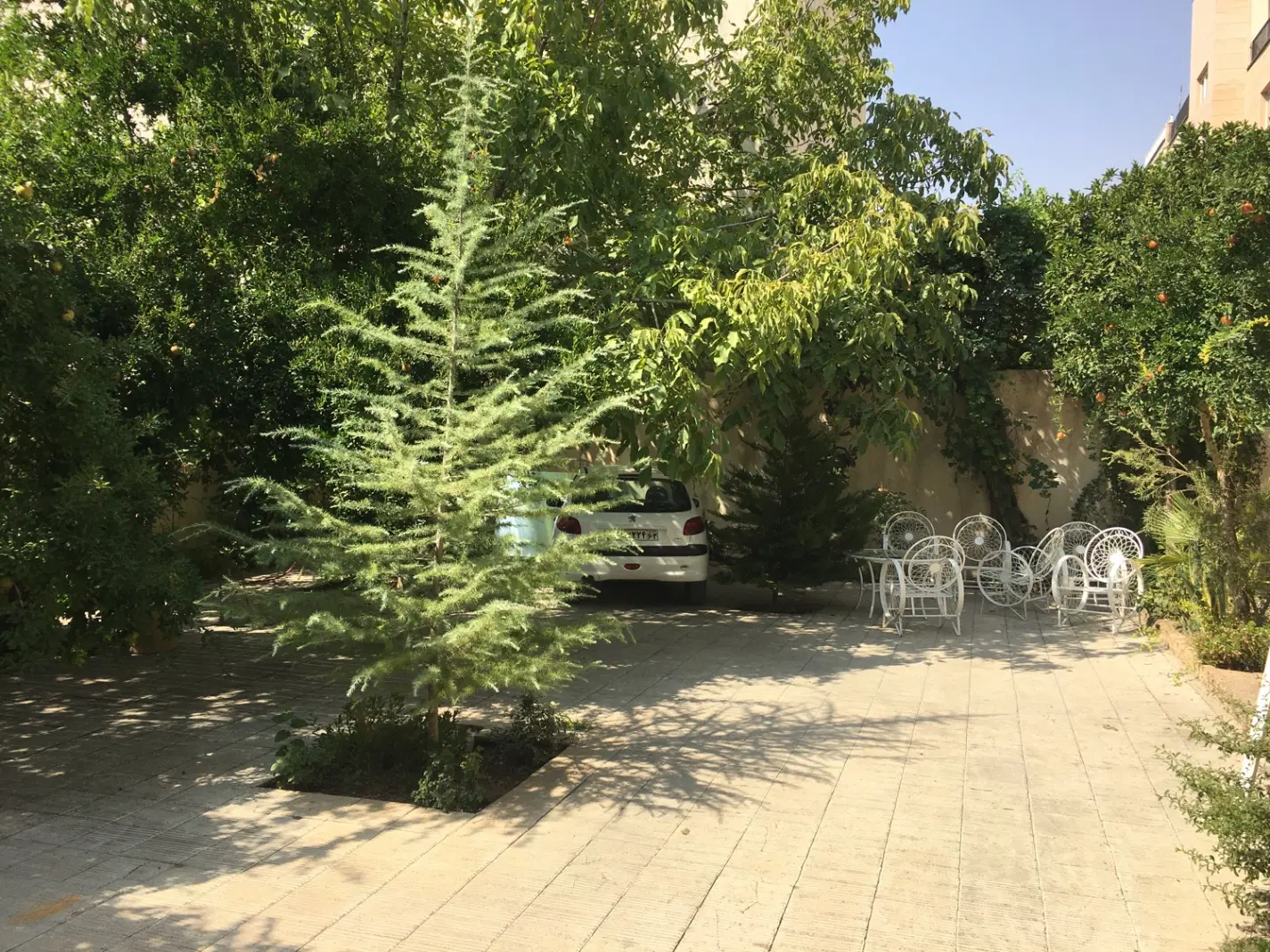 فروش کلنگی ۵۴۶ متری  ۱۵ الف (باغ طوطی)