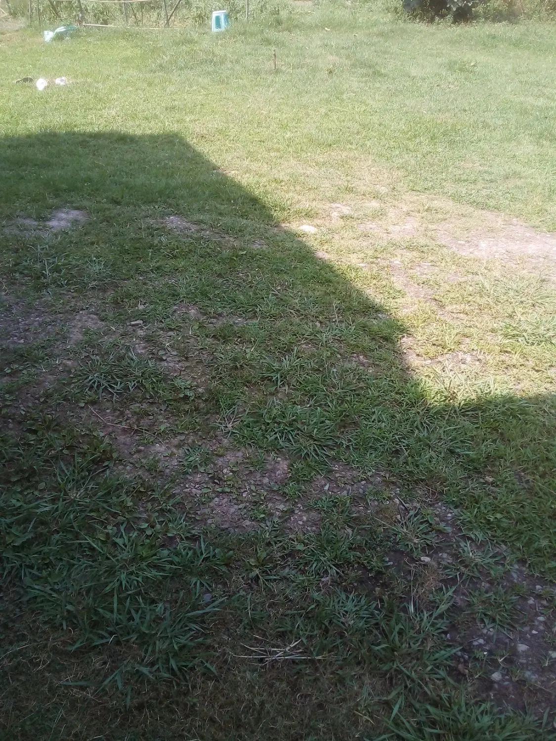 مشارکت در ساخت