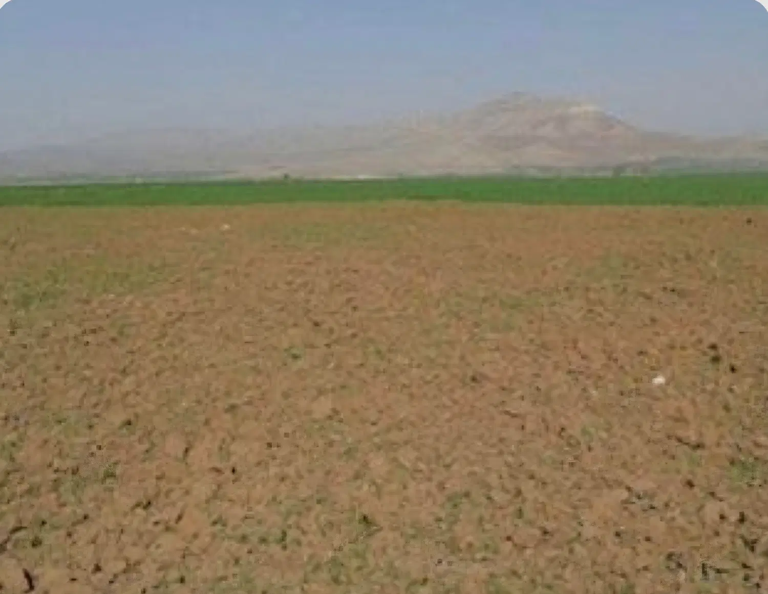فروش و اجاره زمین زراعی