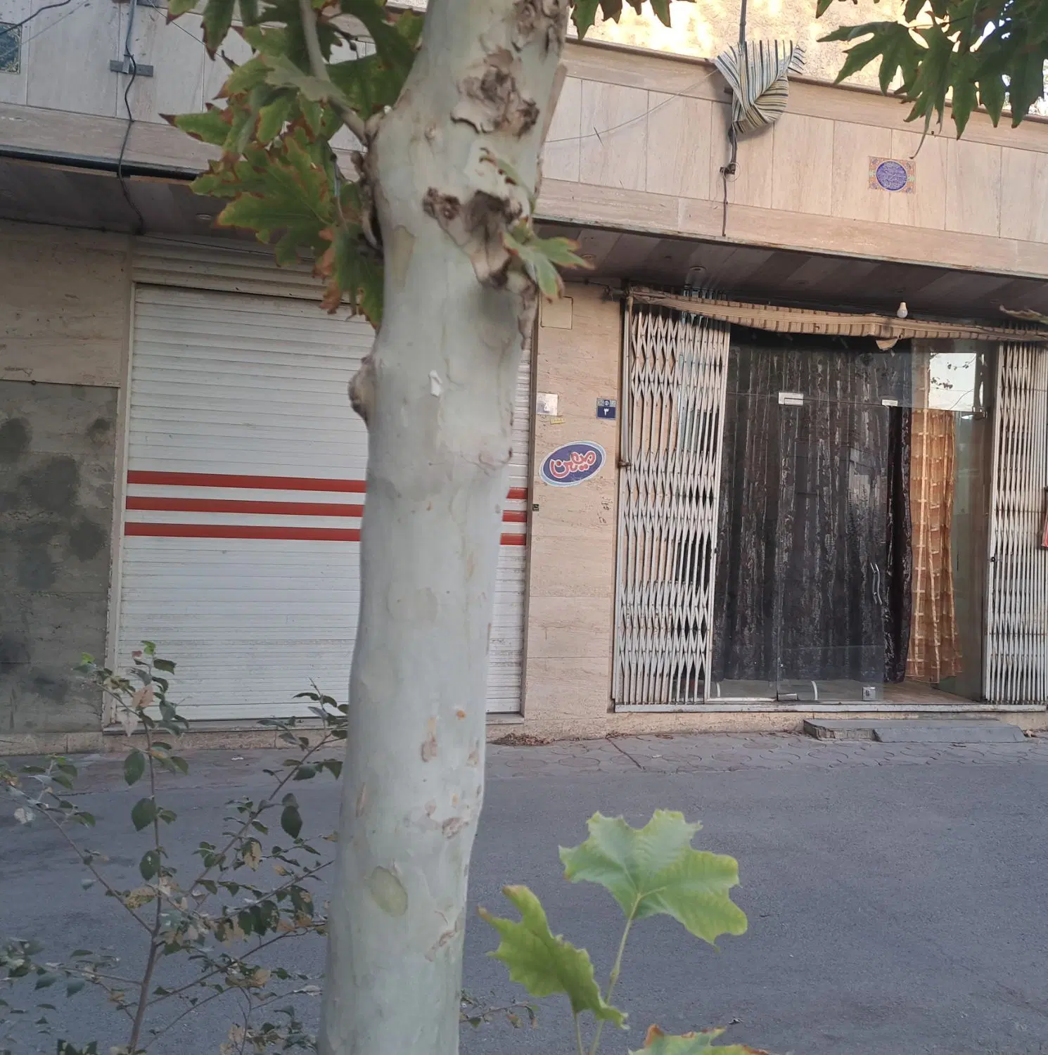 اجاره ی مغازه یا انبار خیابان اتشگاه پارون