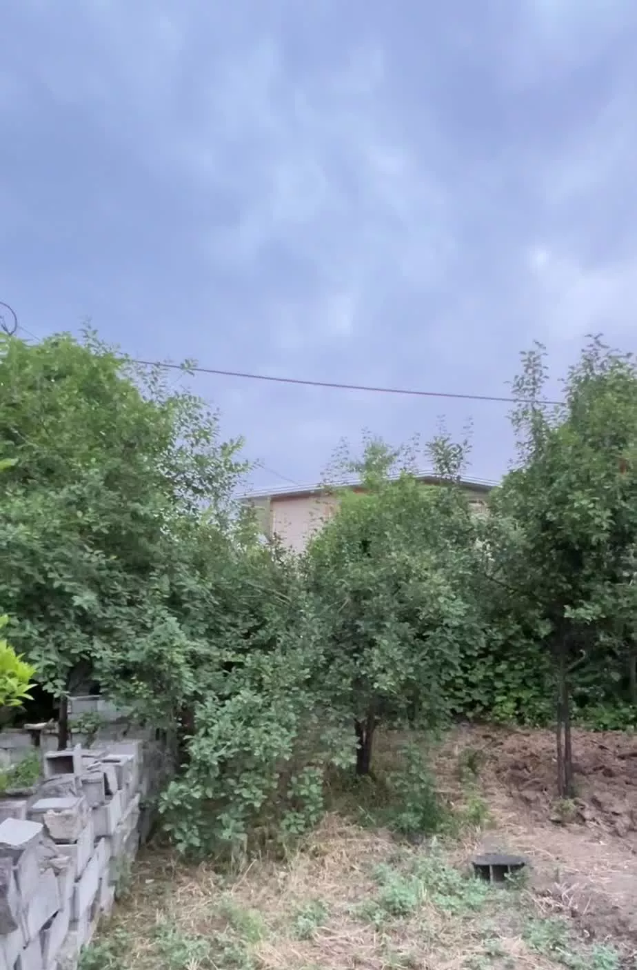 زمین مسکونی واقع در ساری