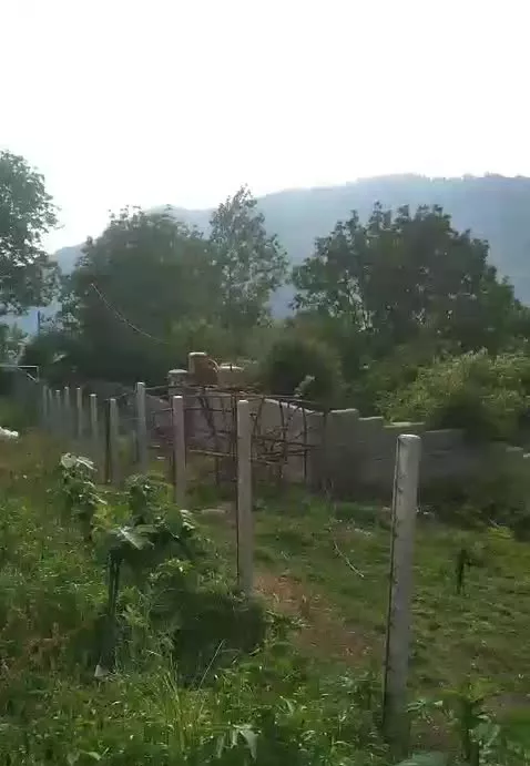 ۲۰۰ متر زمین مسکونی در روستای خارخون