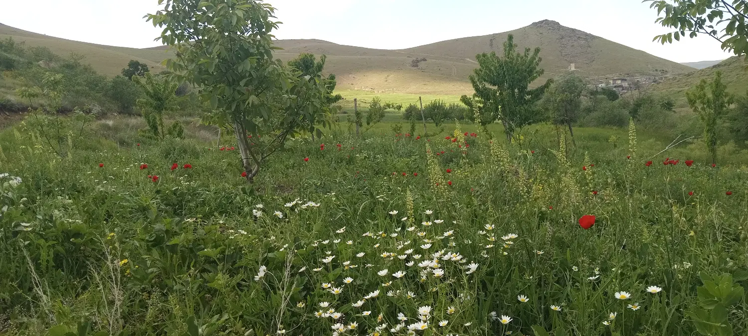 خانه باغ به متراژ ۳ هزار