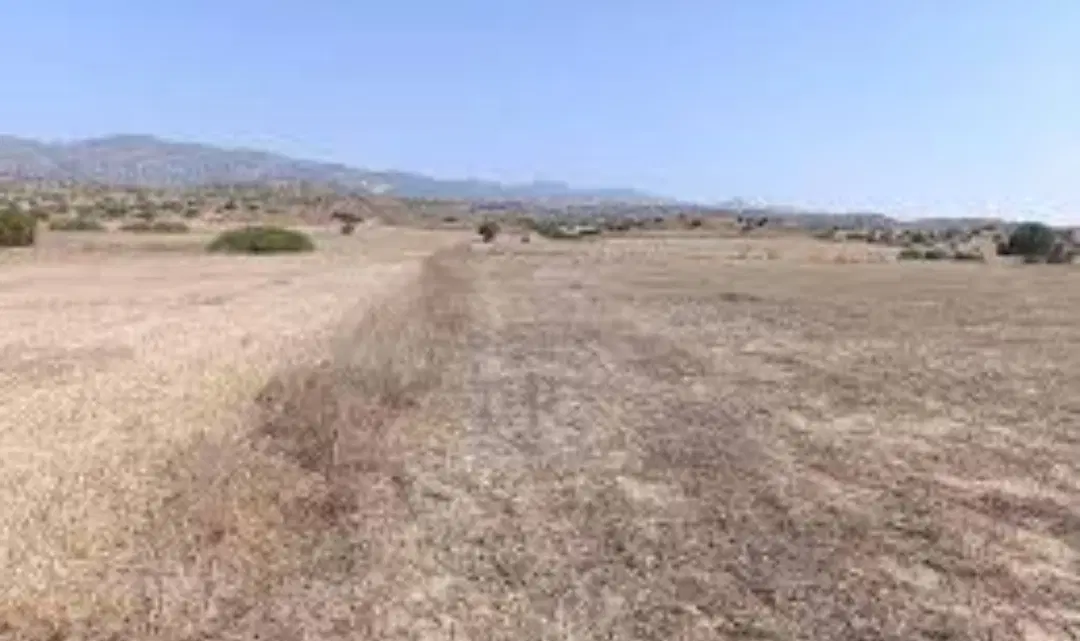 زمین مسکونی نصرت اباد