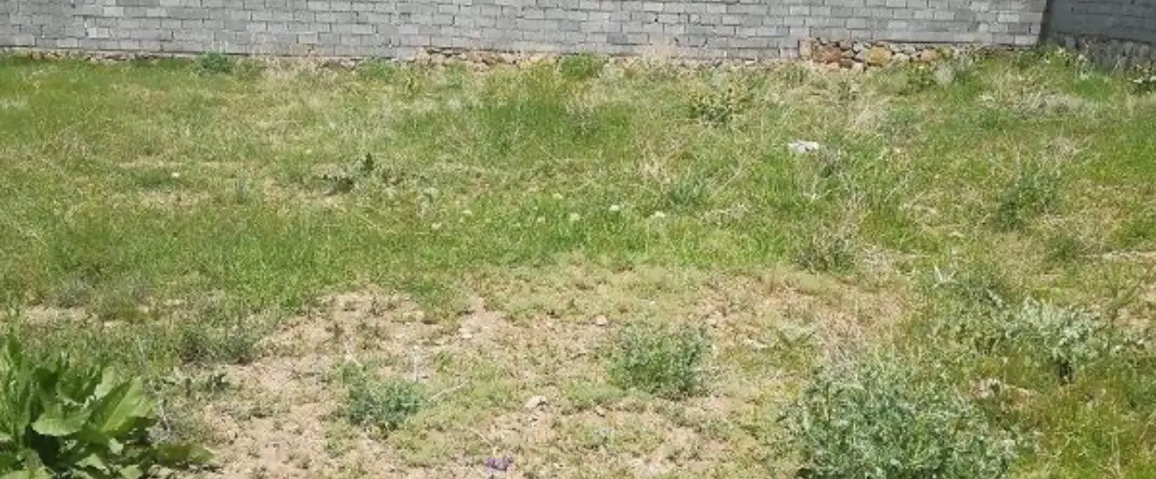 زمین مسکونی