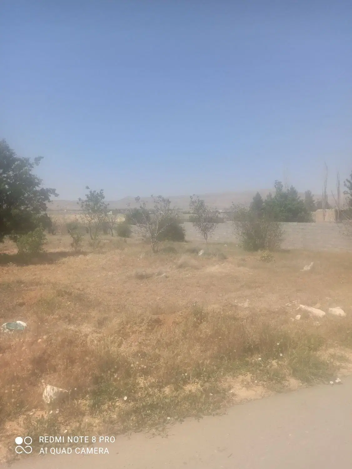 فروش زمین با آب و برق و درخت و آسفالت