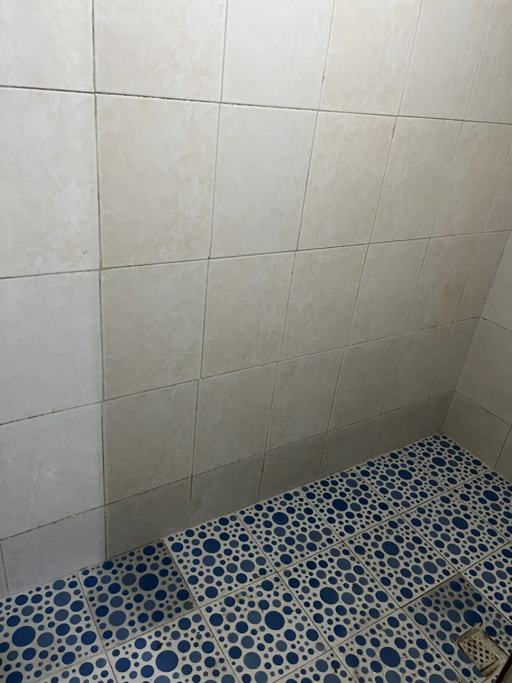 اجاره ۹۵ متر دو خواب (تمیز و دلباز)