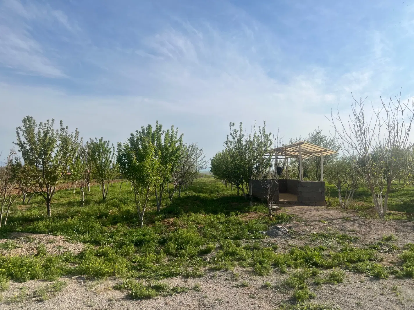 باغ سند‌دار (سرارود)
