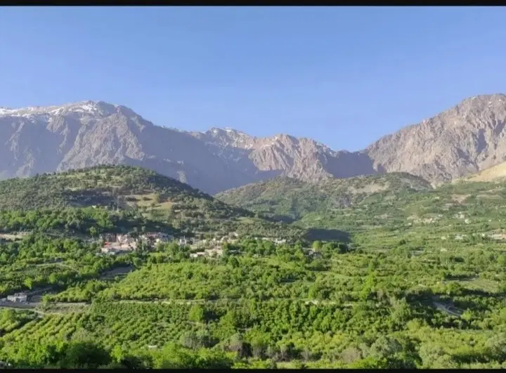 باغ ویو ابدی کوخدان