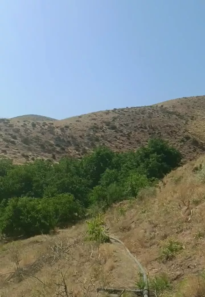 باغ و زمین کشاورزی