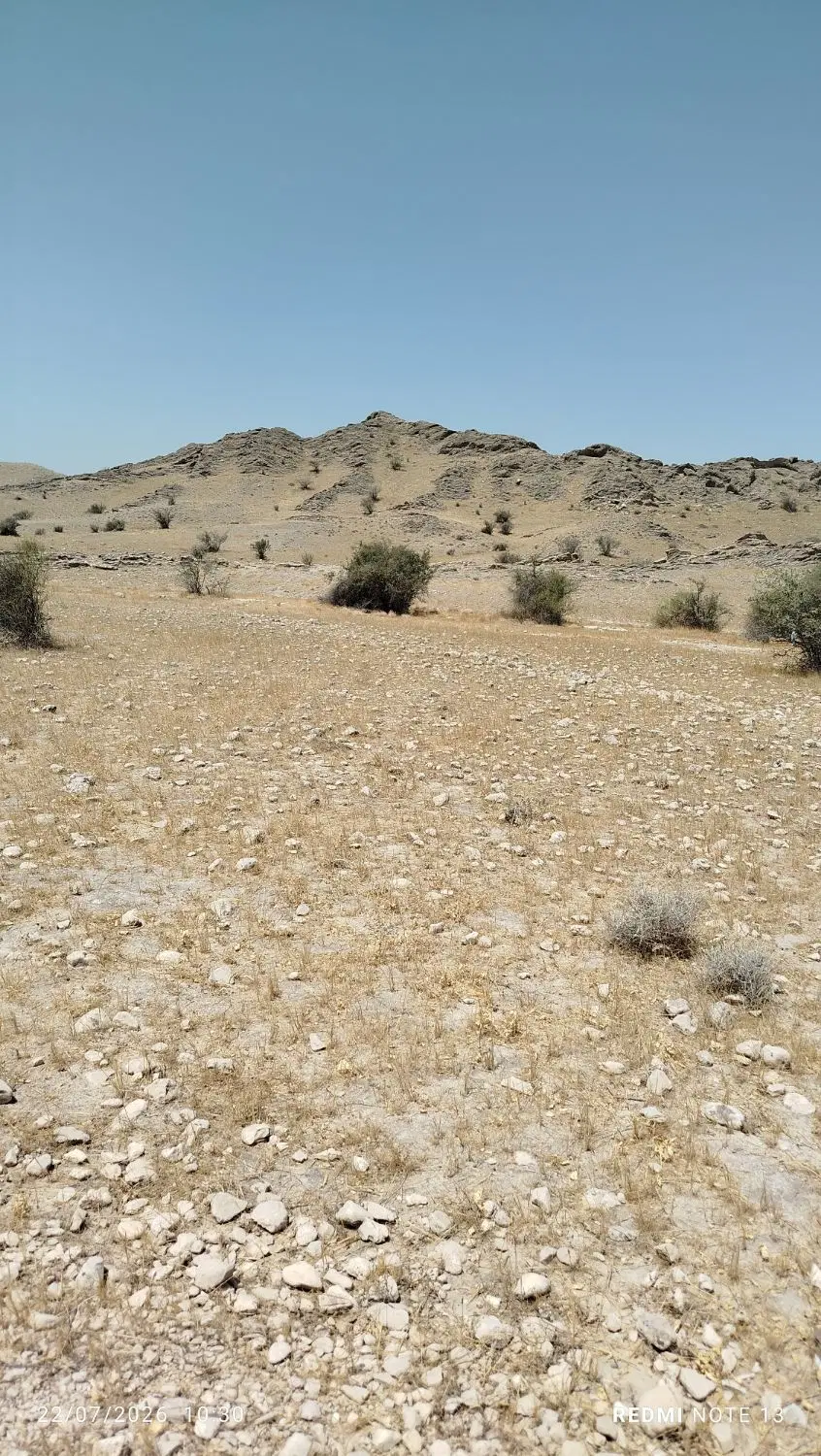 قشلاق  اجاره ای منطقه روستایی لاور شرقی