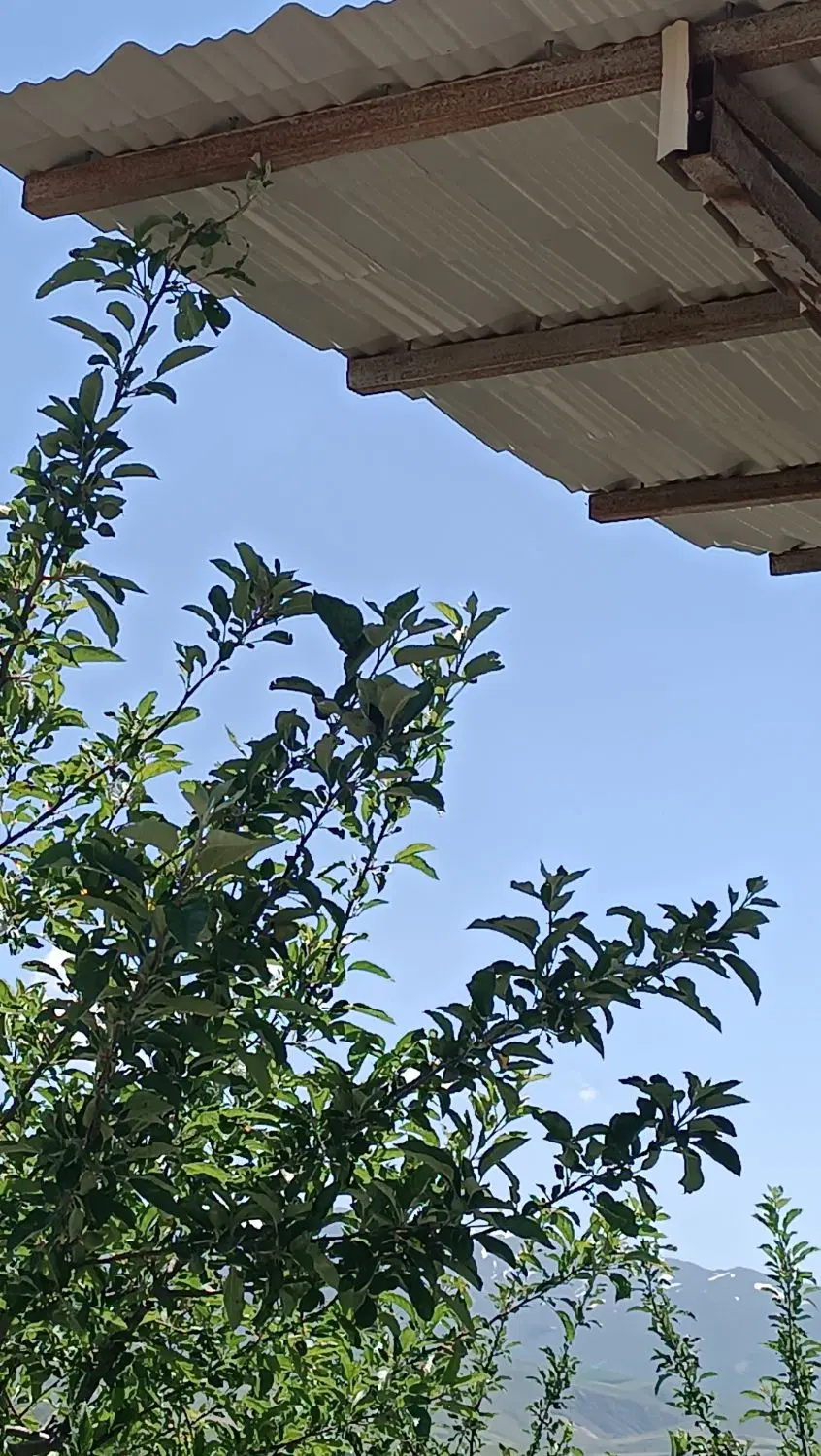 قطعه ویلایی در اهر