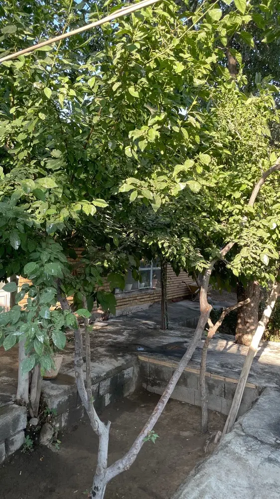 خانه باغ ویلایی