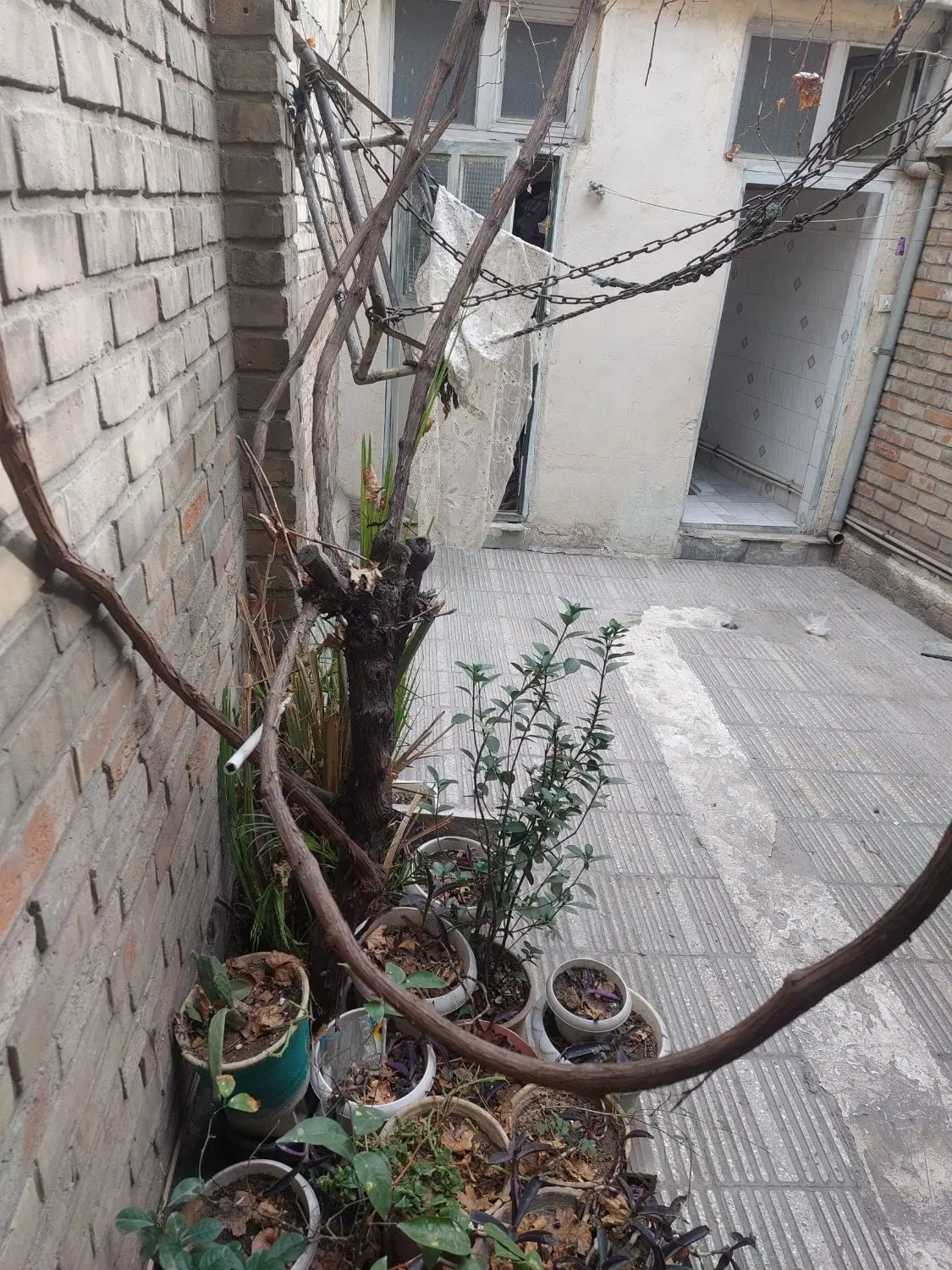 خانه ویلایی ۶۰ متری