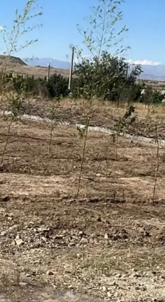 فروش زمین کاربری صنعتی کردان