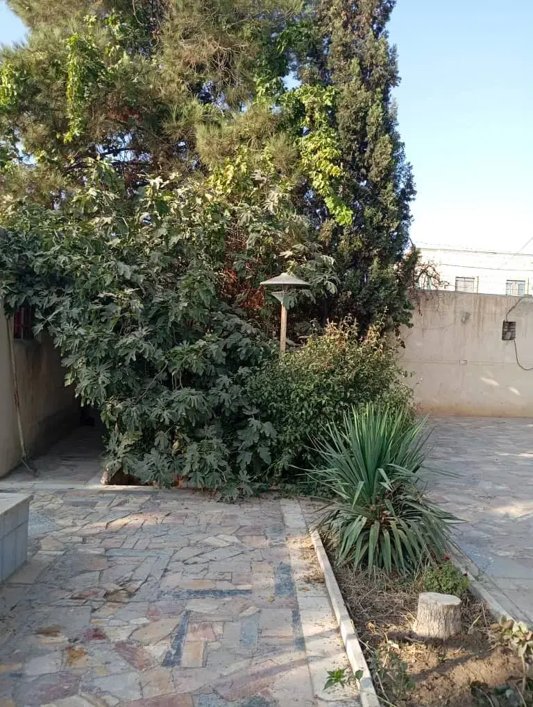 باغ ویلا سند تک برگ با مجوزات