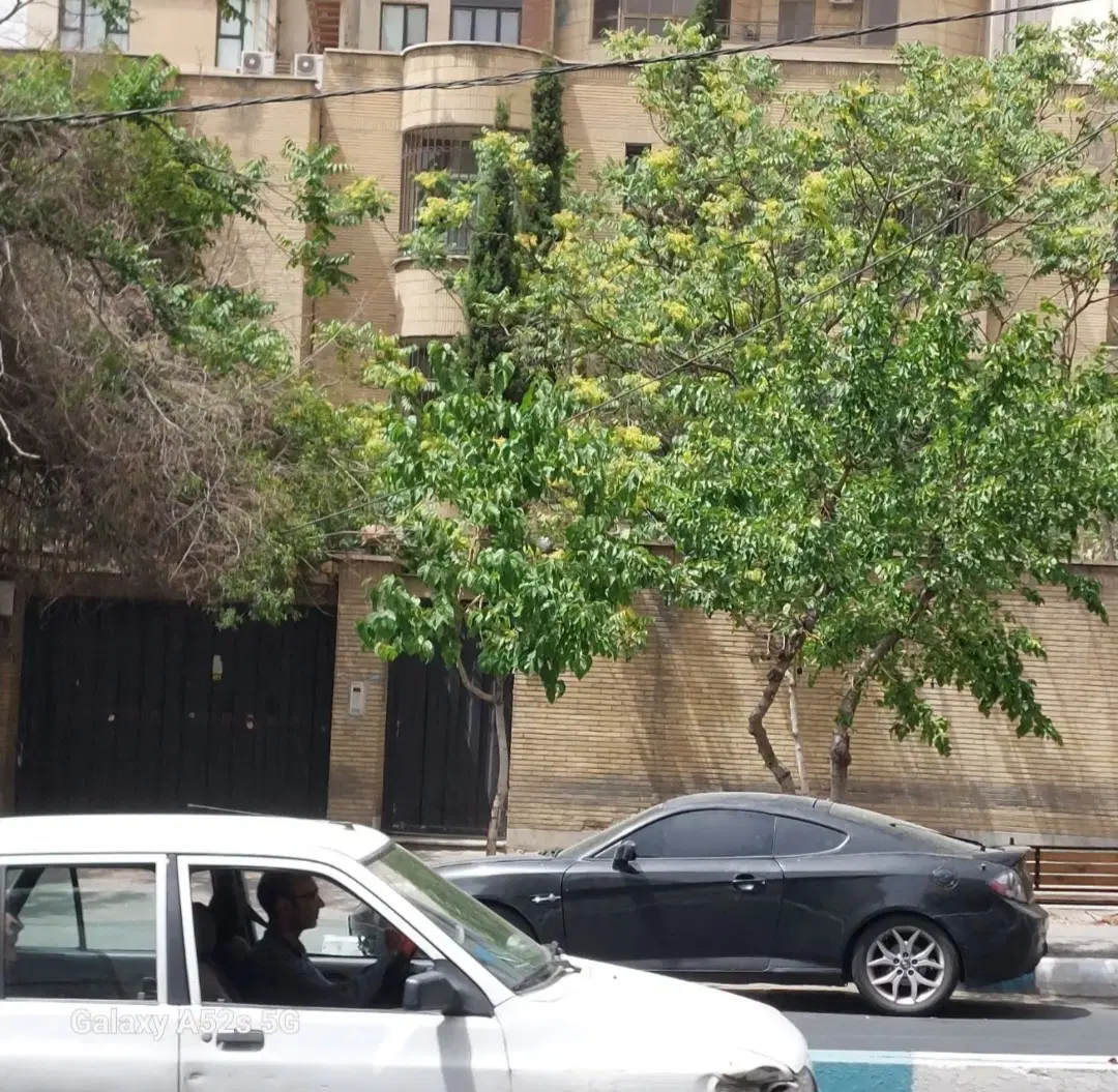 ۹۳ متر کلنگی _قابلیت ساخت ۴ طبقه _گذر ۸ متر _دوکله